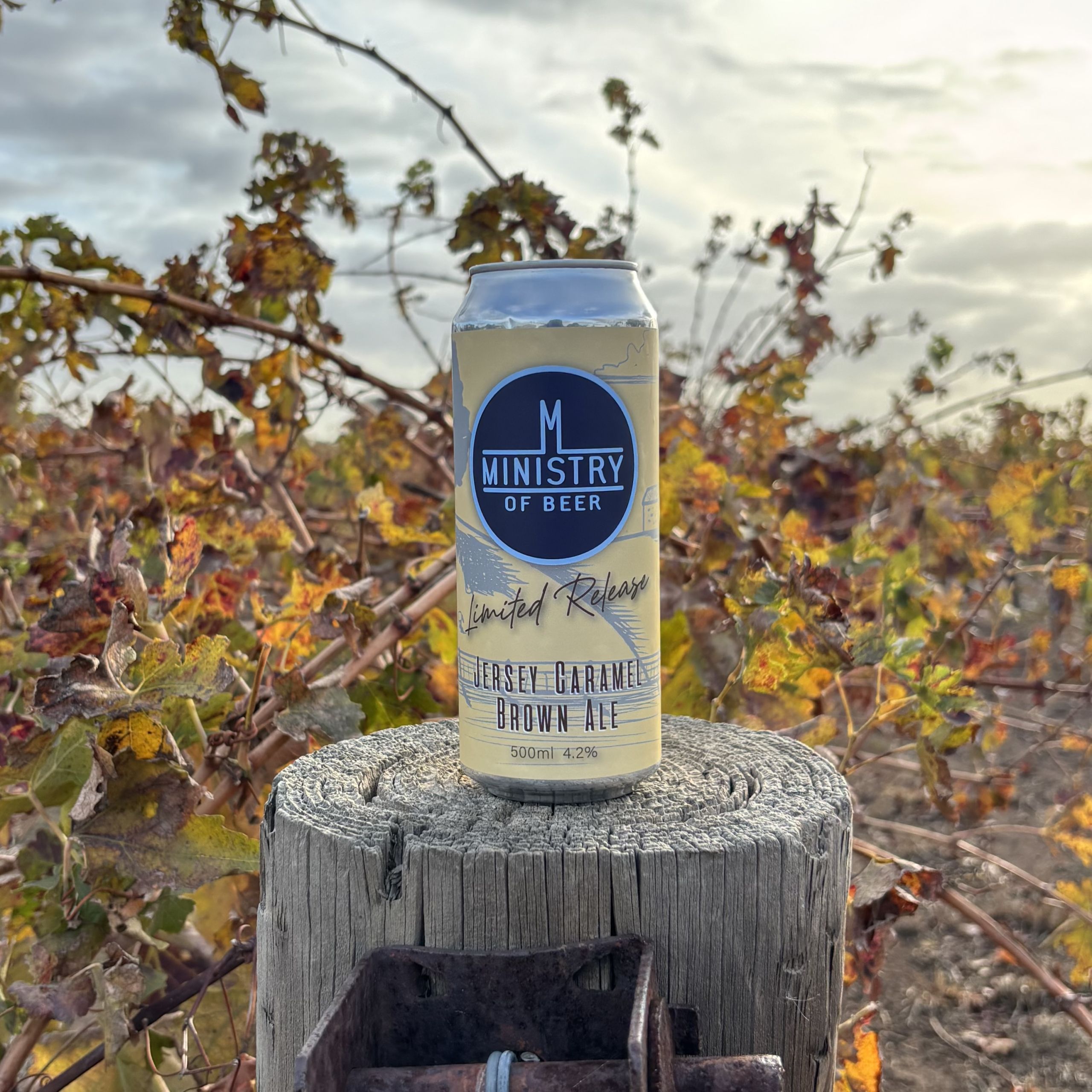 Barossa Valley Brewery - Ministry of Jersey Caramel Brown Ale beer sitting amongst Barossa Valley vineyards with sunset in the background